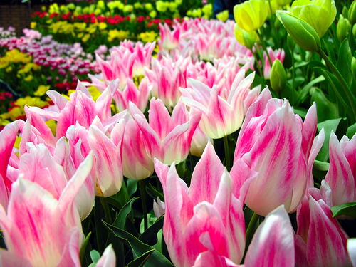 这几个时辰出生的人，钱财大旺，飞黄腾达，家业昌盛