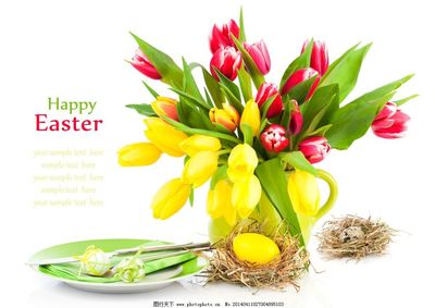 节庆餐桌上的盛宴 牛肉与鲜花的完美结合